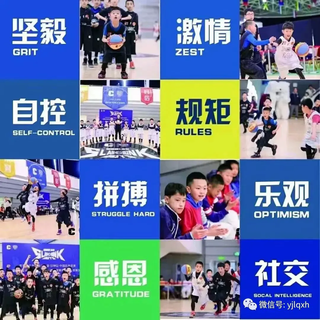 专业篮球运动员推荐的赛事训练计划_1